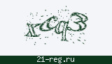 Защитный код