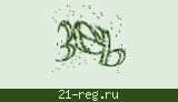 Защитный код