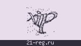 Защитный код