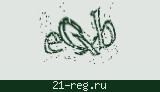 Защитный код