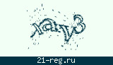 Защитный код