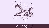 Защитный код