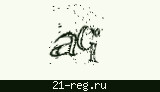 Защитный код
