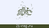Защитный код