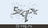 Защитный код
