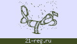 Защитный код