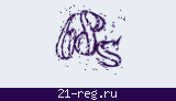 Защитный код