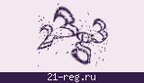 Защитный код