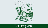 Защитный код