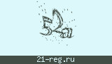 Защитный код