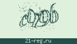 Защитный код