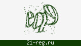 Защитный код