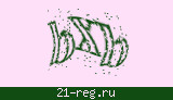 Защитный код