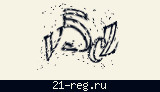 Защитный код