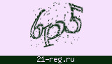 Защитный код