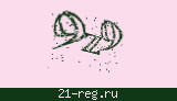 Защитный код