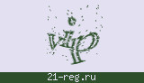 Защитный код