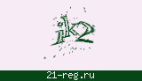 Защитный код