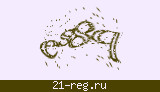 Защитный код
