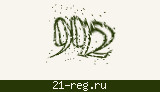 Защитный код