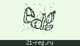 Защитный код