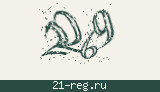 Защитный код
