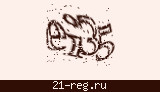 Защитный код
