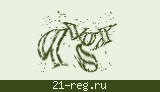 Защитный код