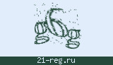 Защитный код