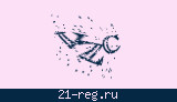 Защитный код