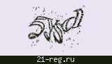 Защитный код
