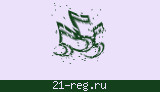 Защитный код