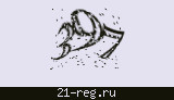 Защитный код