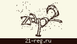 Защитный код