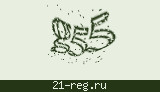 Защитный код