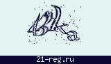 Защитный код