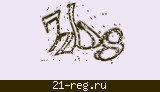 Защитный код