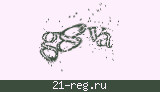 Защитный код