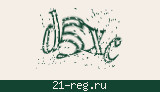 Защитный код