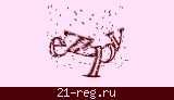 Защитный код
