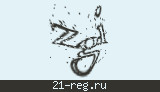 Защитный код