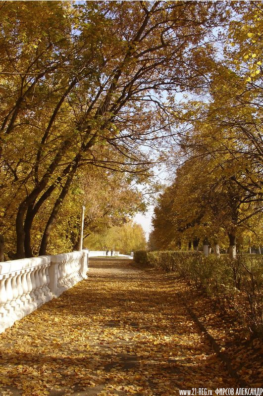 Золотая осень