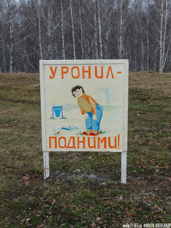 Страна советов