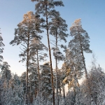 После снегопада