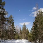 Дорога к Зеленому ключу