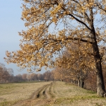 Марийские красоты