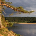 р. Ветлуга