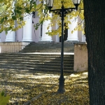 Осень у театра