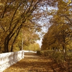 Золотая осень